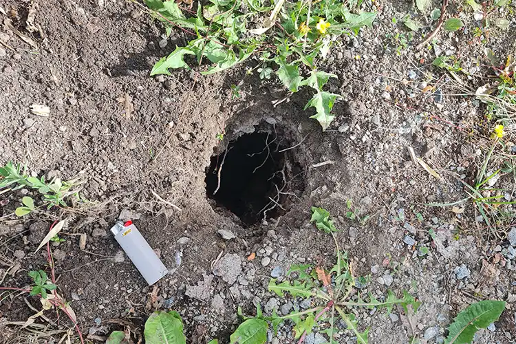 Hål i mark 1meter djup, efter markbolag grävt ner avlopp